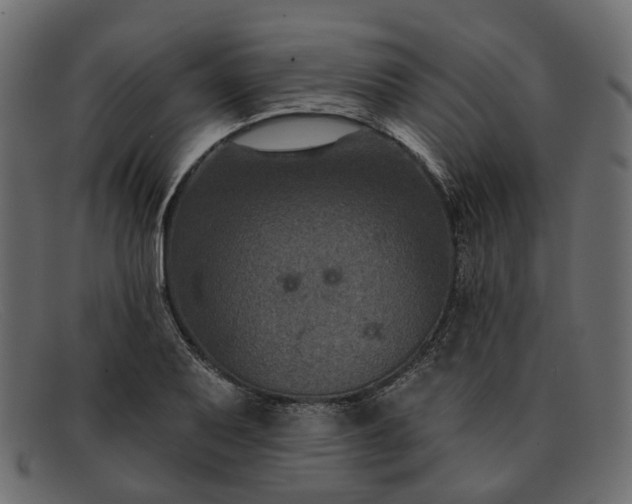 X0000091931079200709191355
