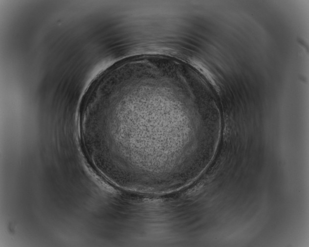 X0000091931080200709191355