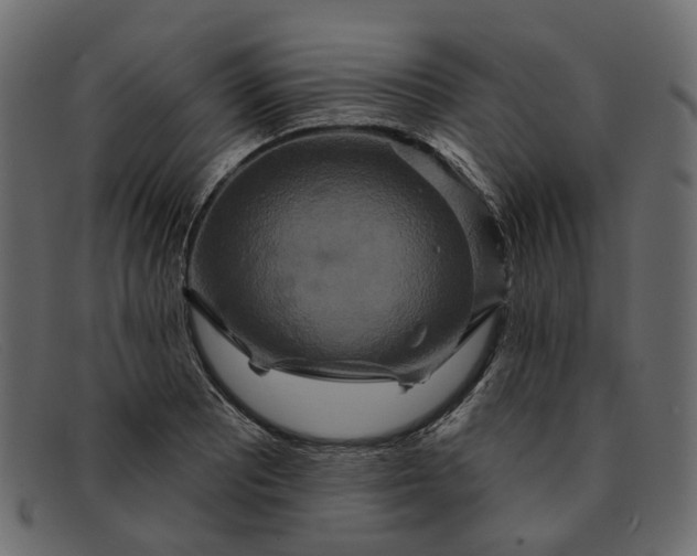 X0000091931081200709191355