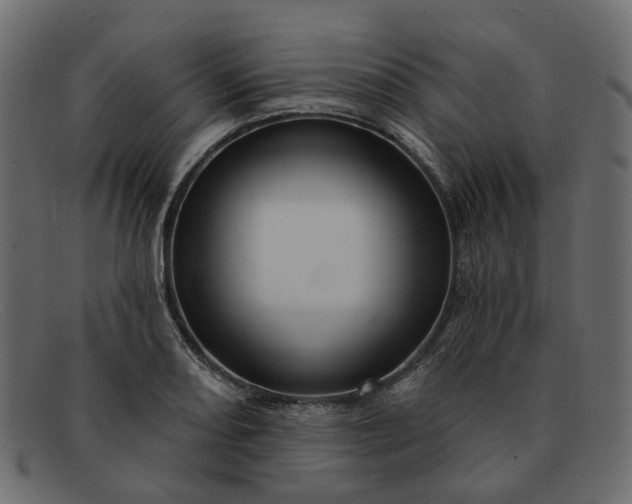 X0000091931082200709191355