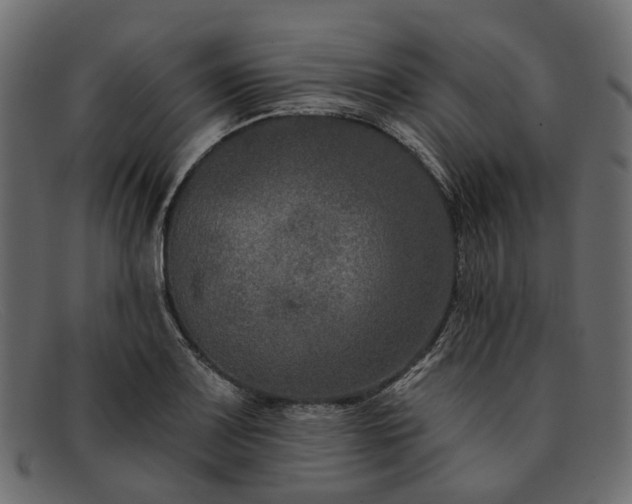 X0000091931083200709191355