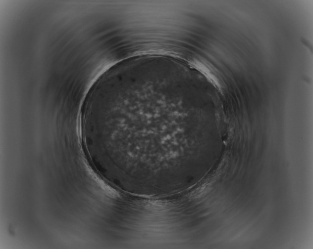 X0000091931084200709191355