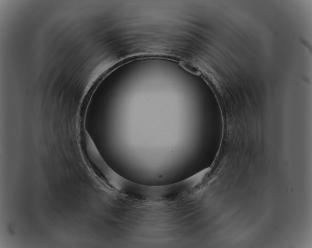X0000091931085200709191355