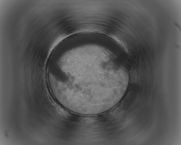X0000091931086200709191355