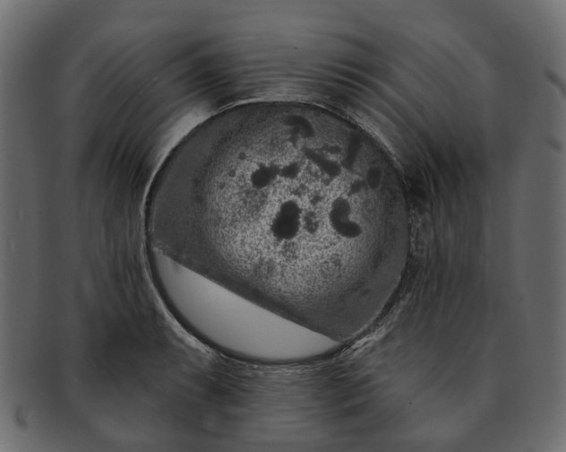 X0000091931087200709191355