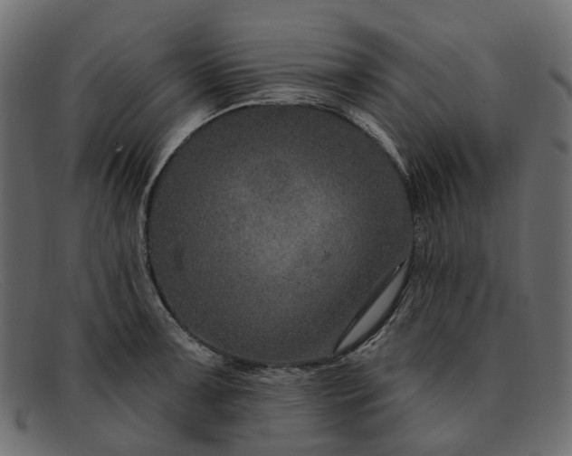 X0000091931091200709191355
