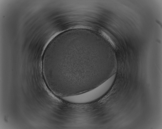 X0000091931092200709191355