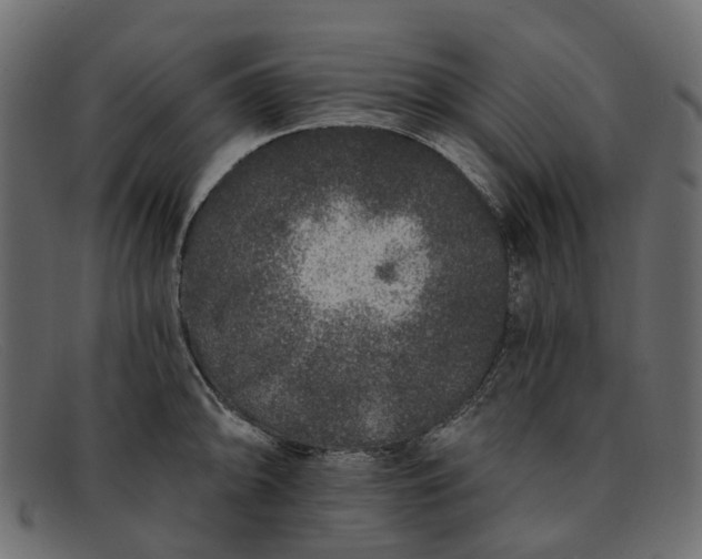 X0000091931094200709191355