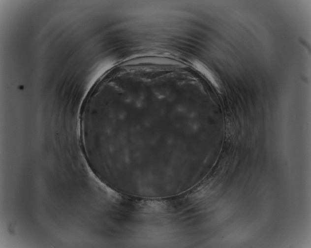 X0000091931095200709191355