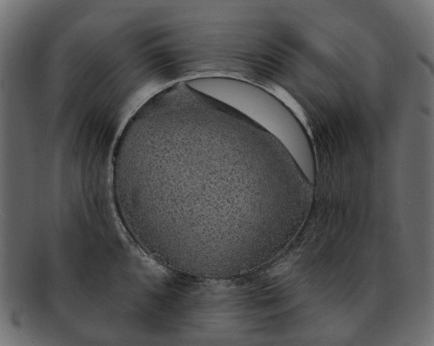 X0000091931096200709191355