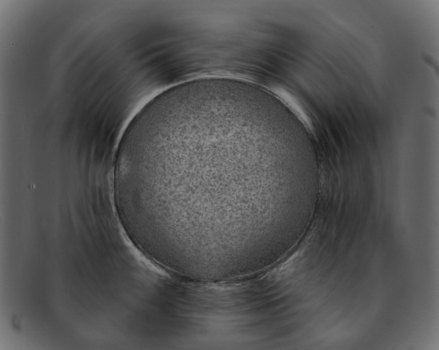 X0000091931100200709191355