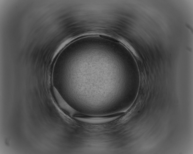 X0000091931101200709191355