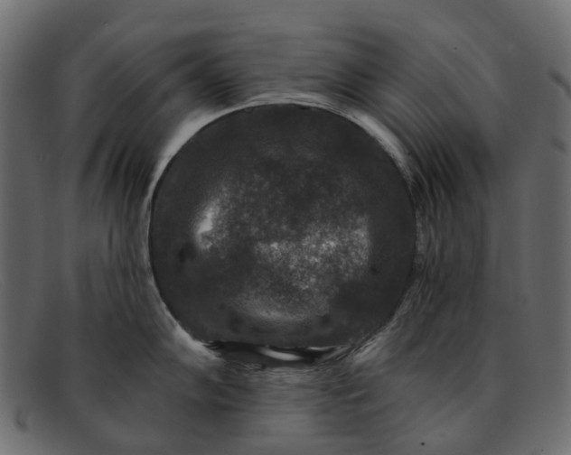 X0000091931102200709191355
