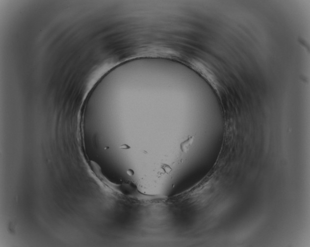 X0000091931103200709191355