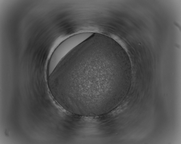 X0000091931104200709191355