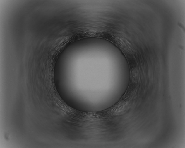 X0000091931105200709191354