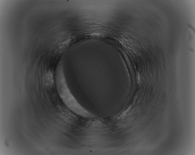 X0000091931106200709191354