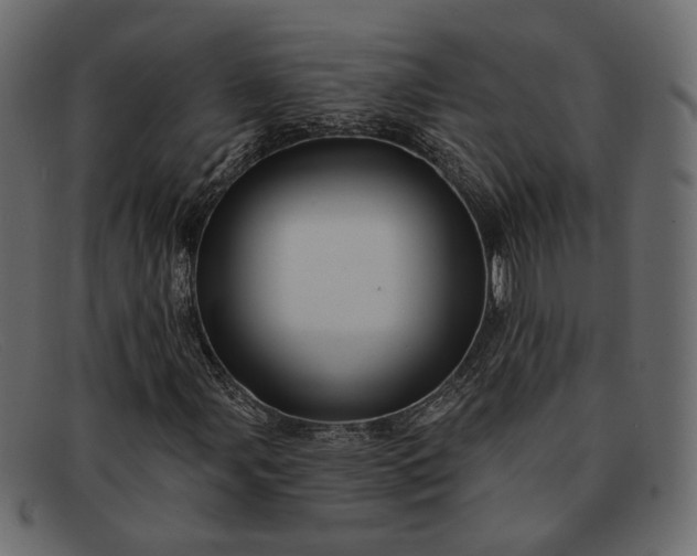 X0000091931107200709191354