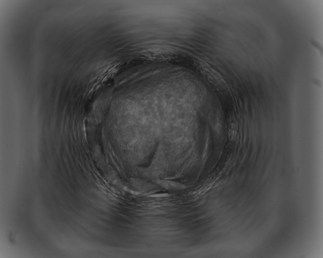 X0000091931108200709191354