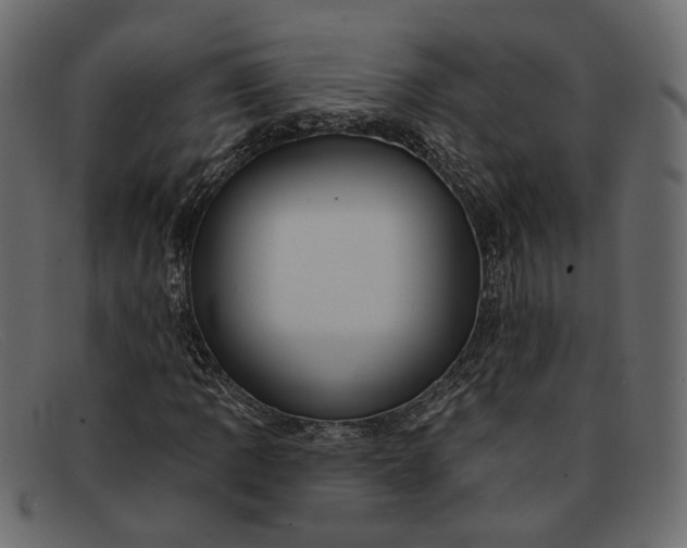 X0000091931109200709191354