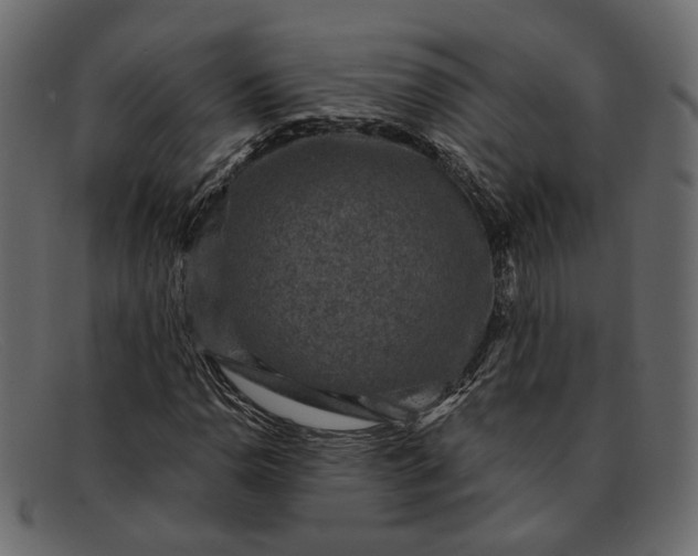 X0000091931110200709191354