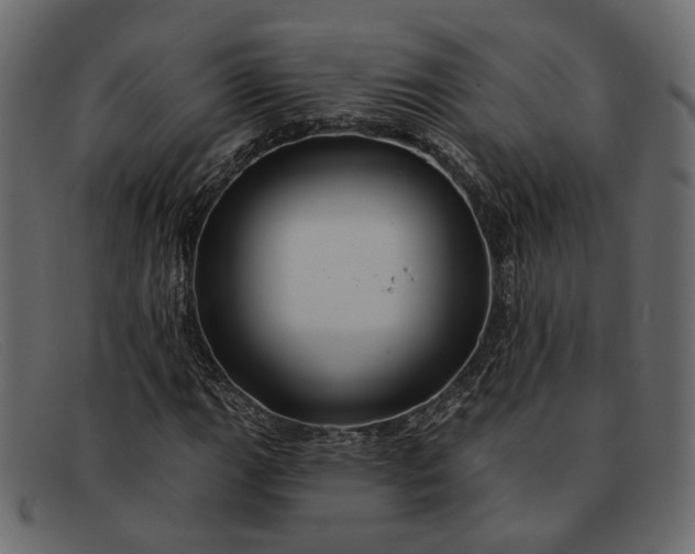 X0000091931111200709191354