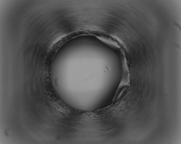 X0000091931112200709191354