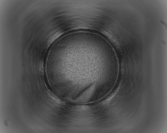 X0000091931113200709191354