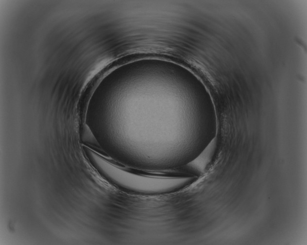 X0000091931114200709191354