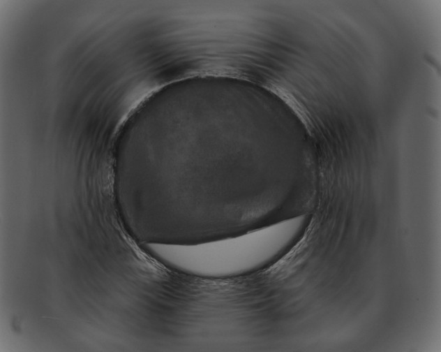 X0000091931115200709191354