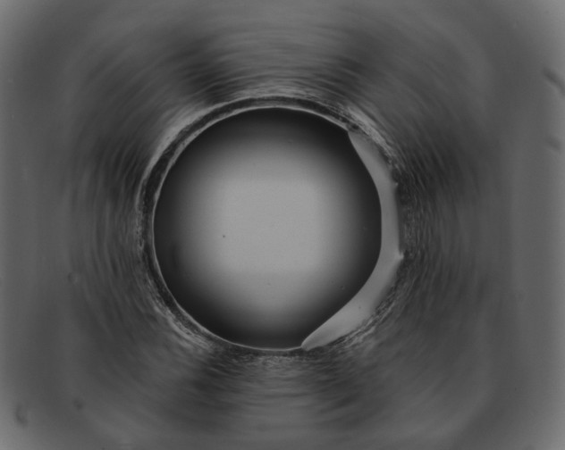 X0000091931116200709191354