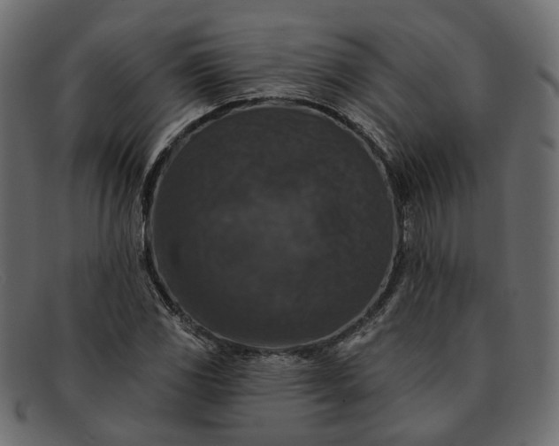 X0000091931117200709191354
