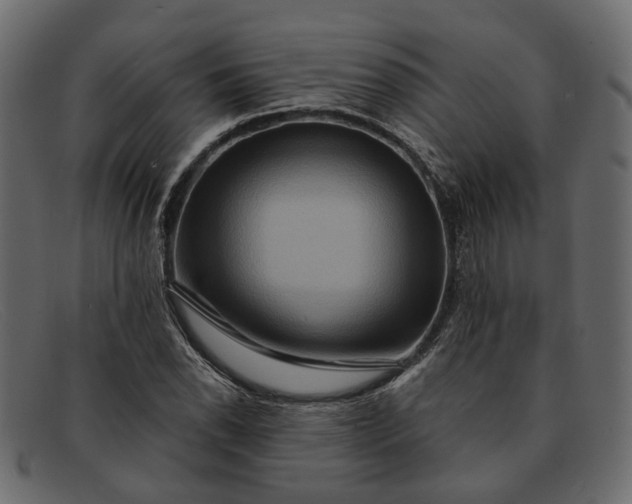 X0000091931118200709191354
