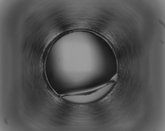 X0000091931119200709191354