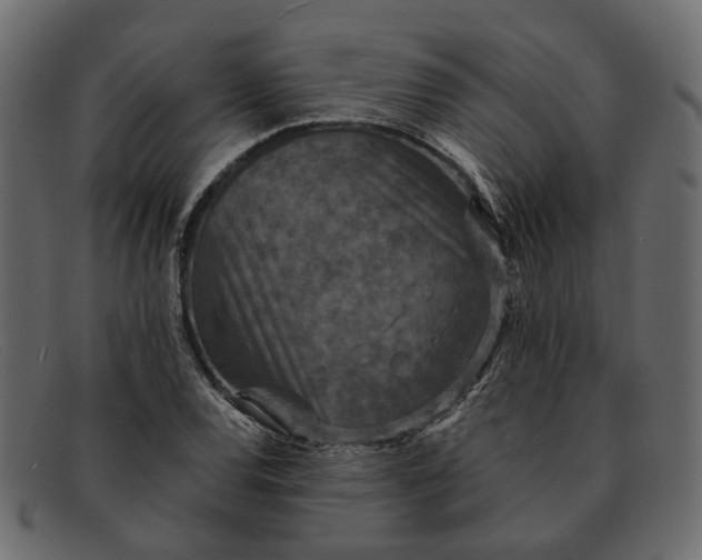 X0000091931120200709191354