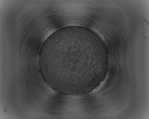 X0000091931121200709191354