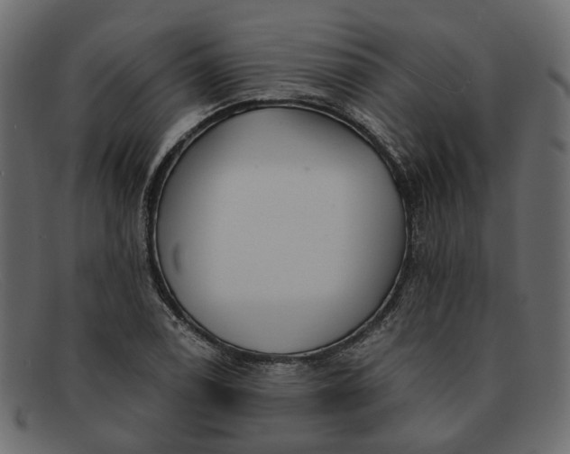 X0000091931122200709191354