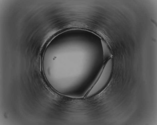 X0000091931123200709191354