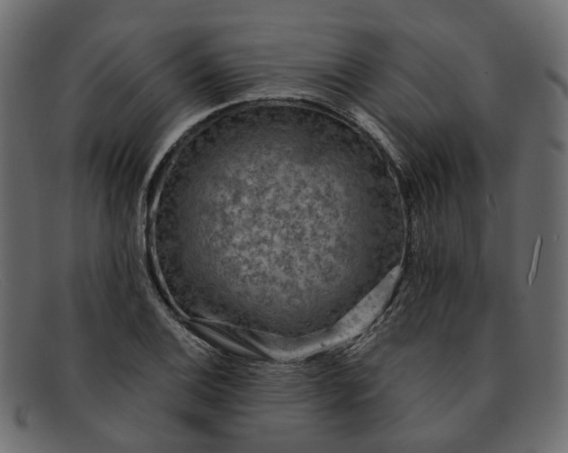 X0000091931124200709191354