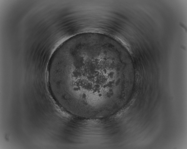 X0000091931125200709191354