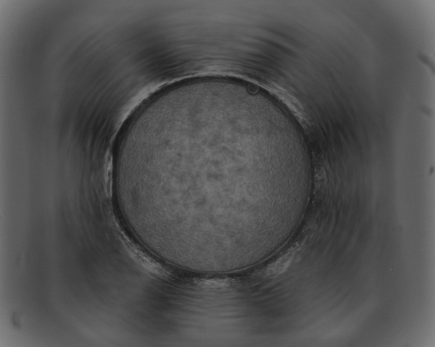 X0000091931126200709191354