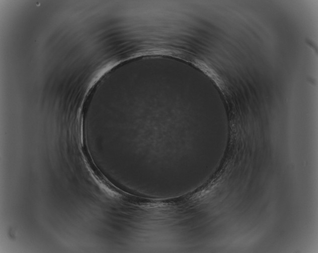 X0000091931127200709191354