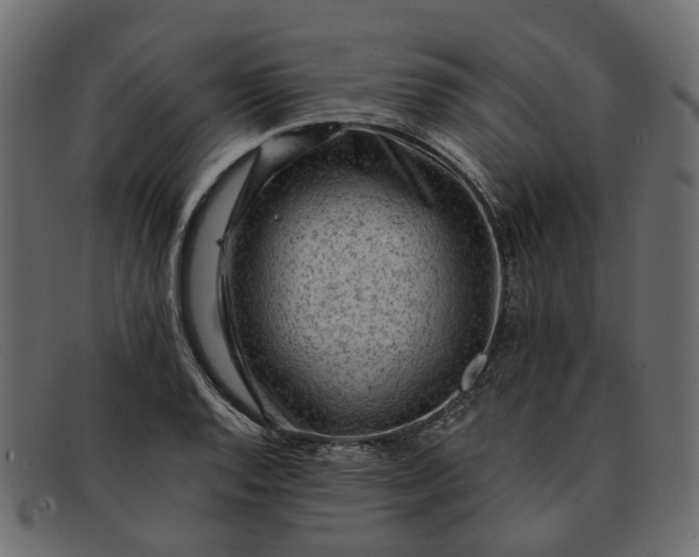 X0000091931128200709191354