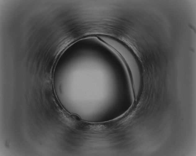 X0000091931129200709191354