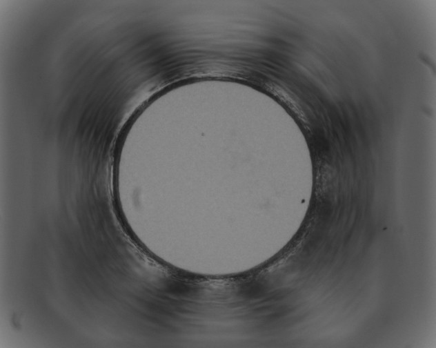 X0000091931130200709191354