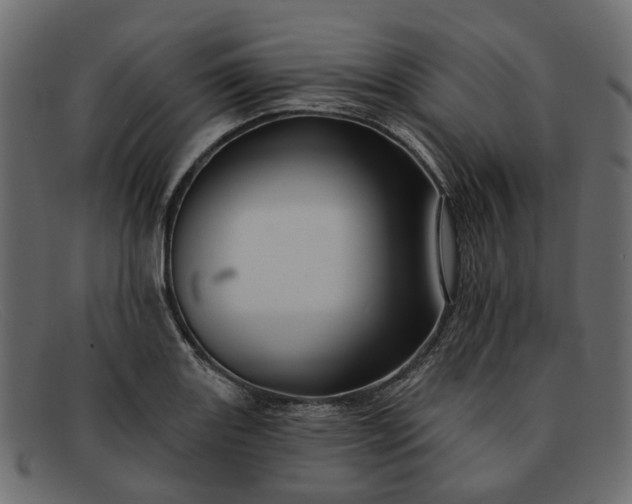 X0000091931131200709191354