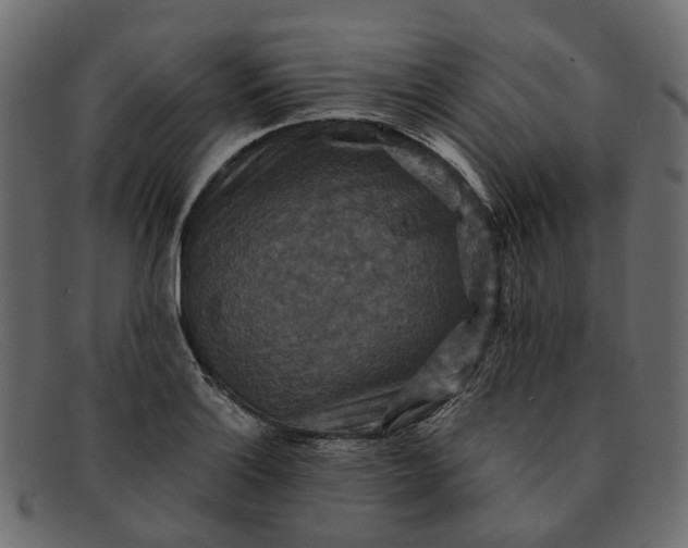 X0000091931132200709191354