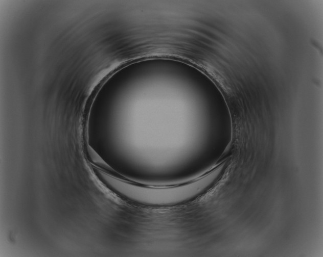 X0000091931134200709191354