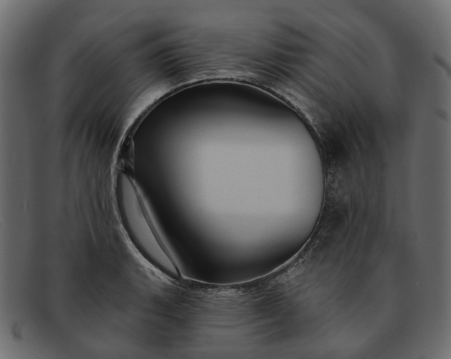X0000091931135200709191354