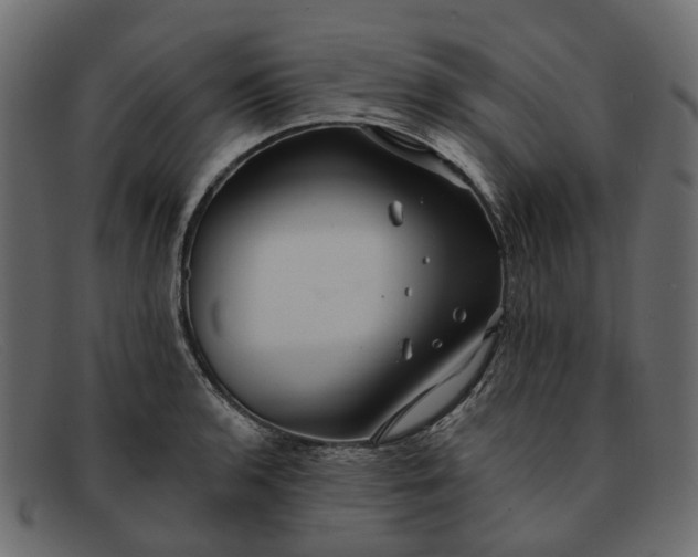 X0000091931136200709191354